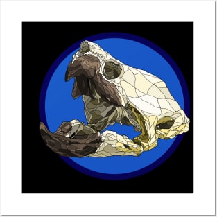 Alligator Snapping Turtle Skull Posters and Art